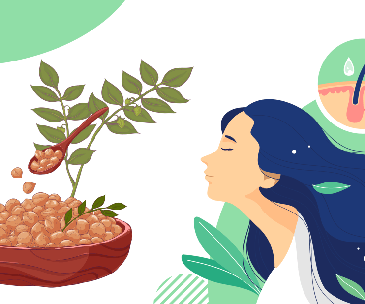 Fenugreek Seeds are extremely popular and often utilized in Indian cooking. The seeds are often crushed or pressed to generate medicinal extracts.