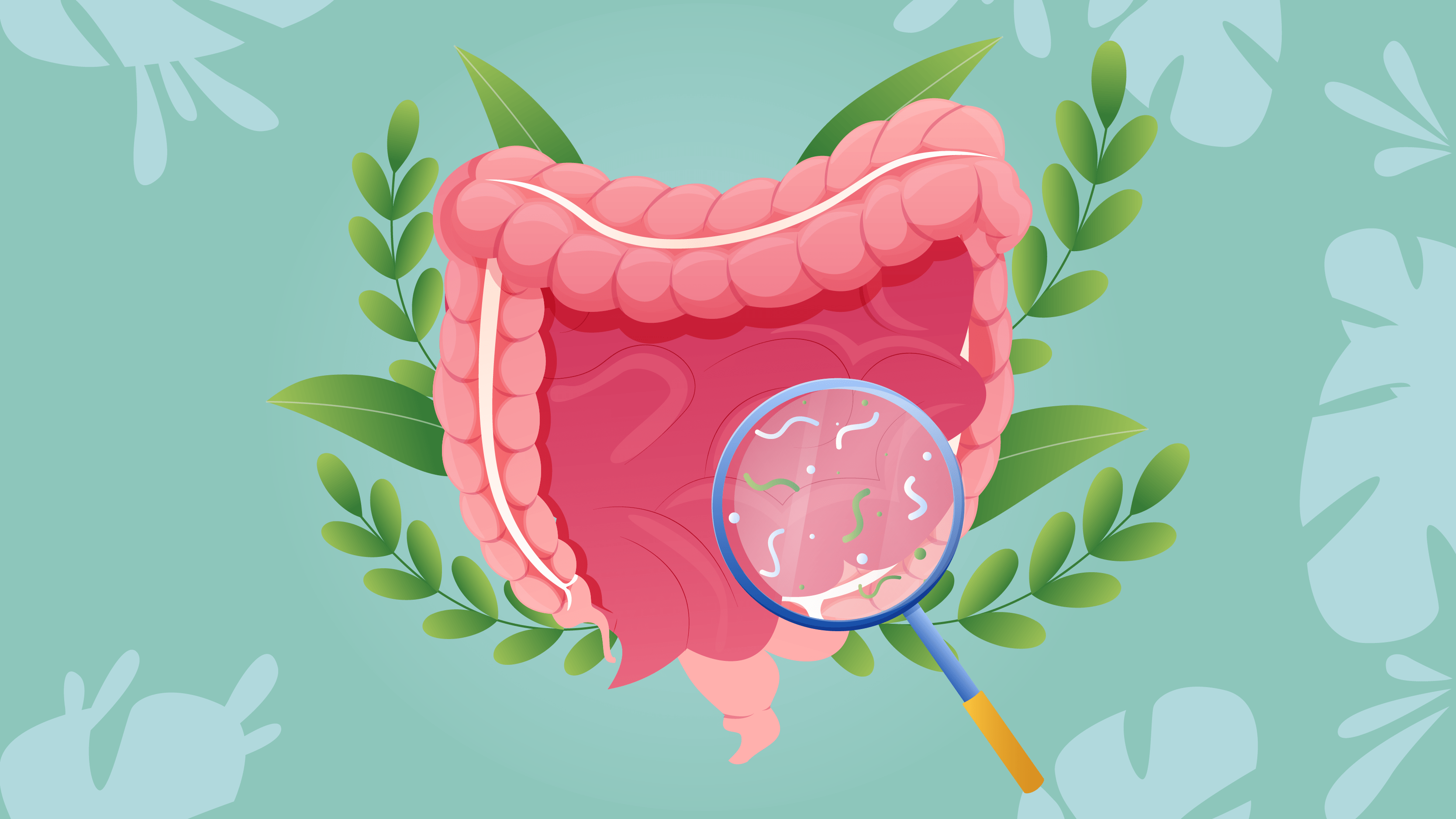 Understanding the significance of Gut health is the first step on your path to overall well-being. The gut, sometimes known as the body's "second brain,"