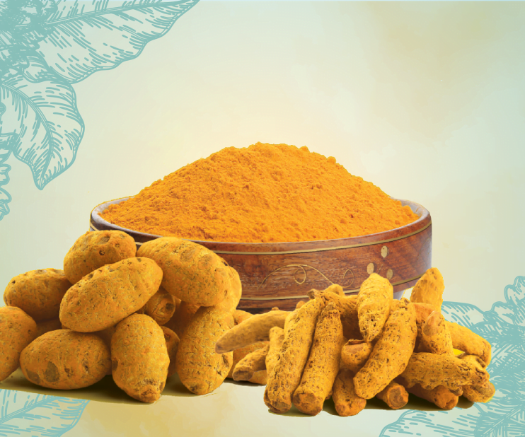 Turmeric, a relative of ginger, has been used in cooking for hundreds of years. It is derived from the rhizome (root) of a native Asian plant.