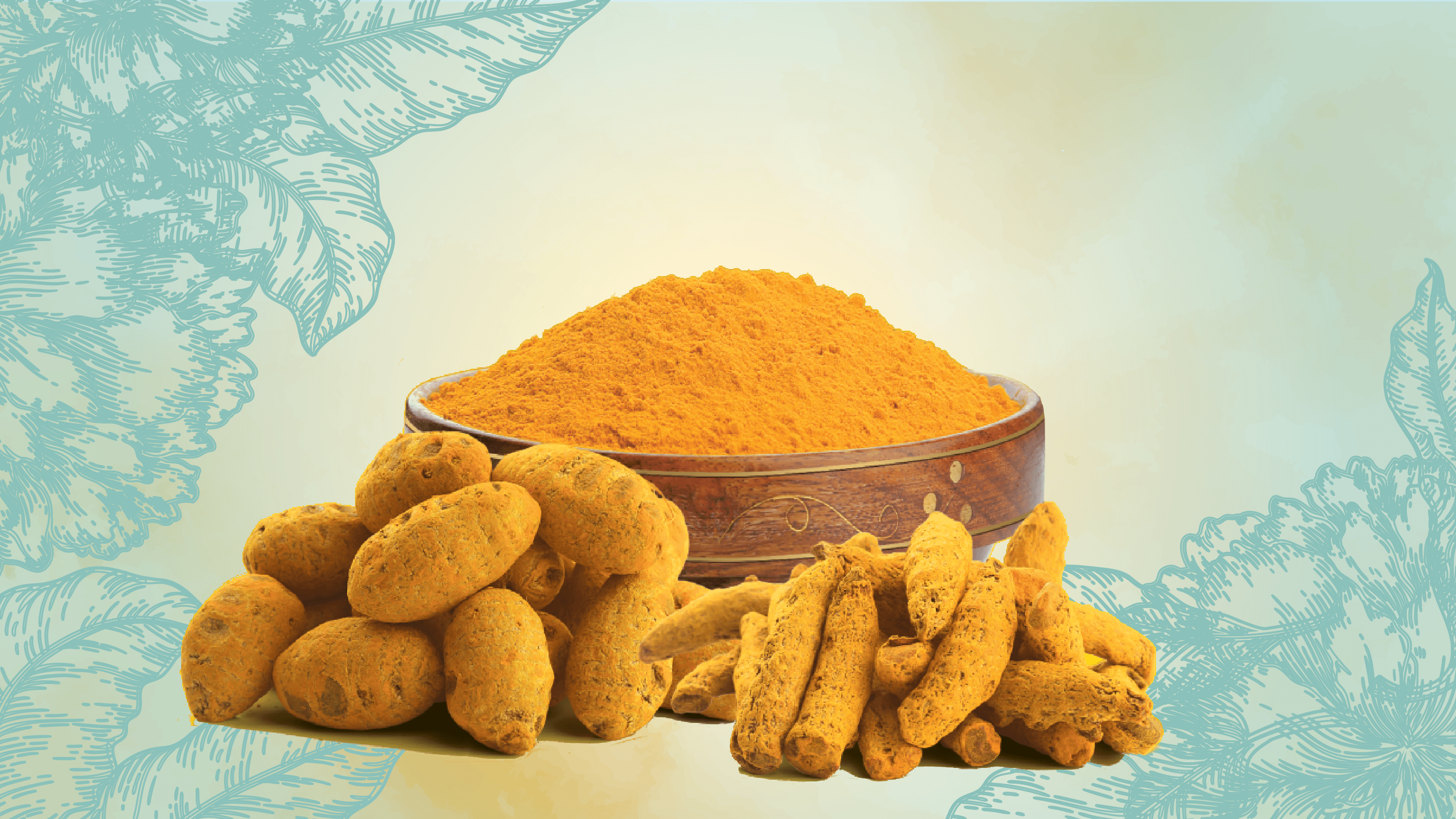 Turmeric, a relative of ginger, has been used in cooking for hundreds of years. It is derived from the rhizome (root) of a native Asian plant.