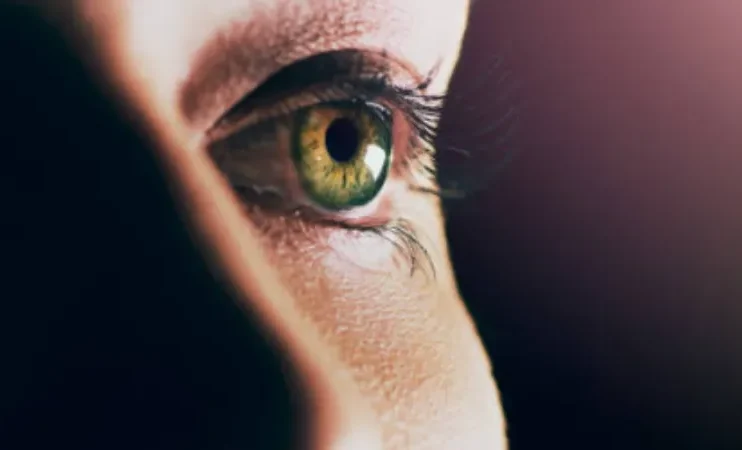 Here are several vitamins that can help maintain the health of your eyes. What would your life be like without eyesight? Do you believe that if you didn't have your two stunning eyes,