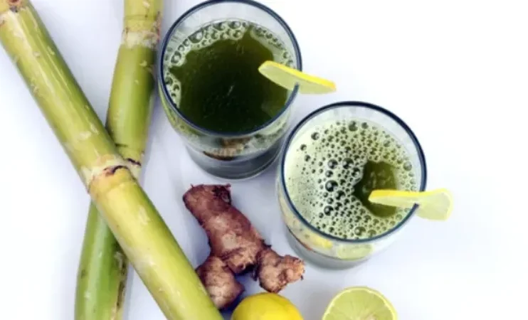 Find out why sugarcane juice is the ideal beverage for summer. Find out how its many health advantages, ability to enhance energy, and hydration make it a nourishing and refreshing option.