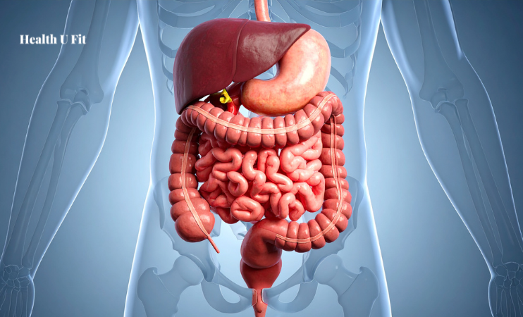 Can Bad Gut Health cause Bad Breadth