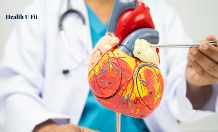 Cardiovascular Diseases