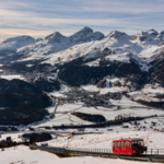 Swiss Industry Group Warns U.S. Pharmaceutical Tariffs Could Harm Patients